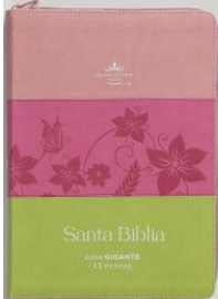 Biblia RVR1960 | Tricolor Rosa, Fucsia y Lima