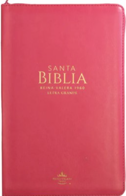 Biblia RVR 1960 Letra Grande Tamaño Manual Símil Piel Fucsia