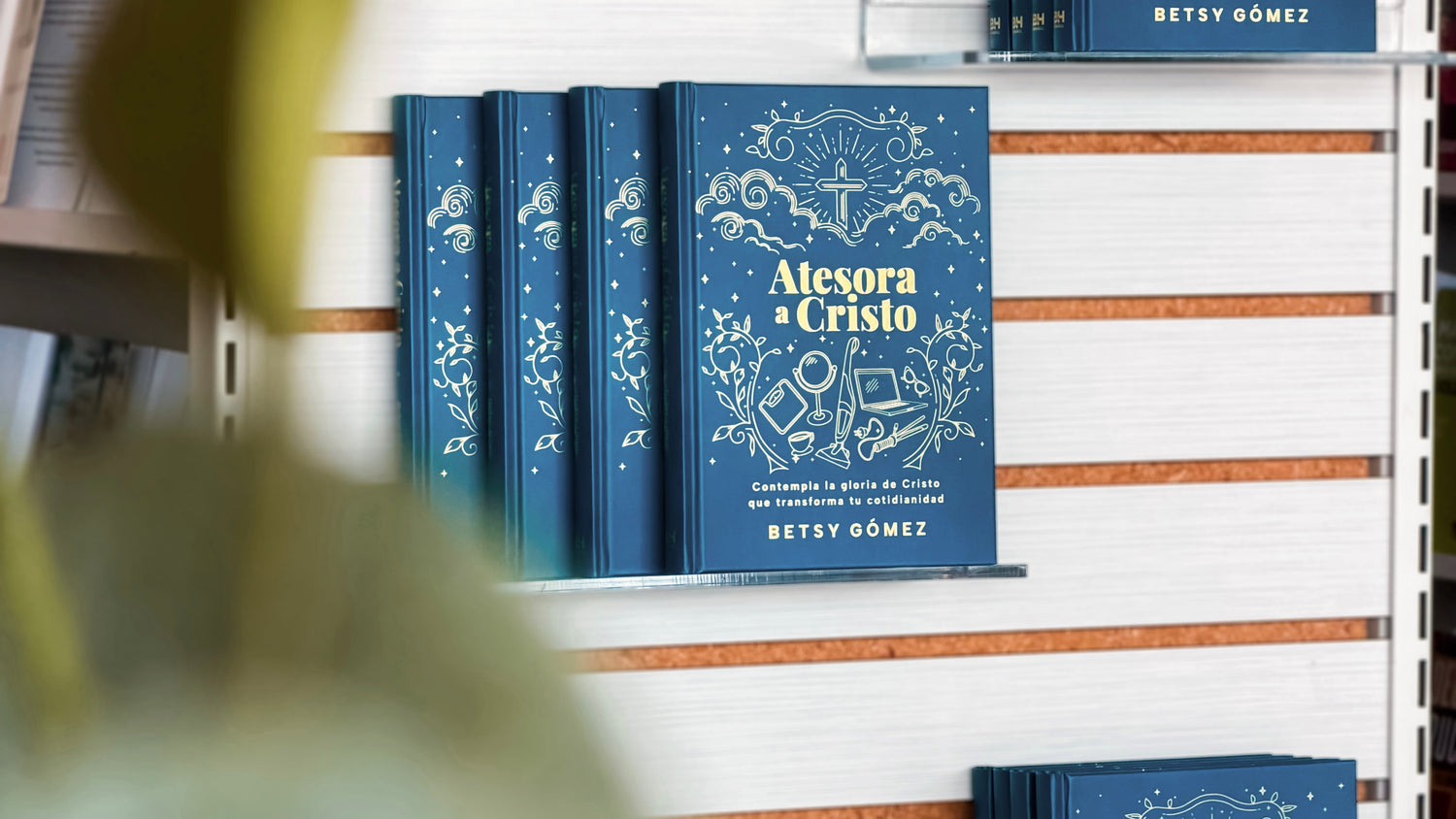 Pura Vida Books
