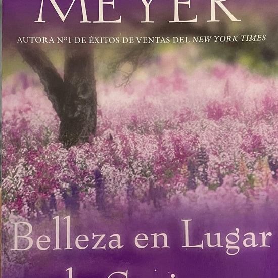 Belleza en Lugar de Cenizas- Joyce Meyer - Pura Vida Books