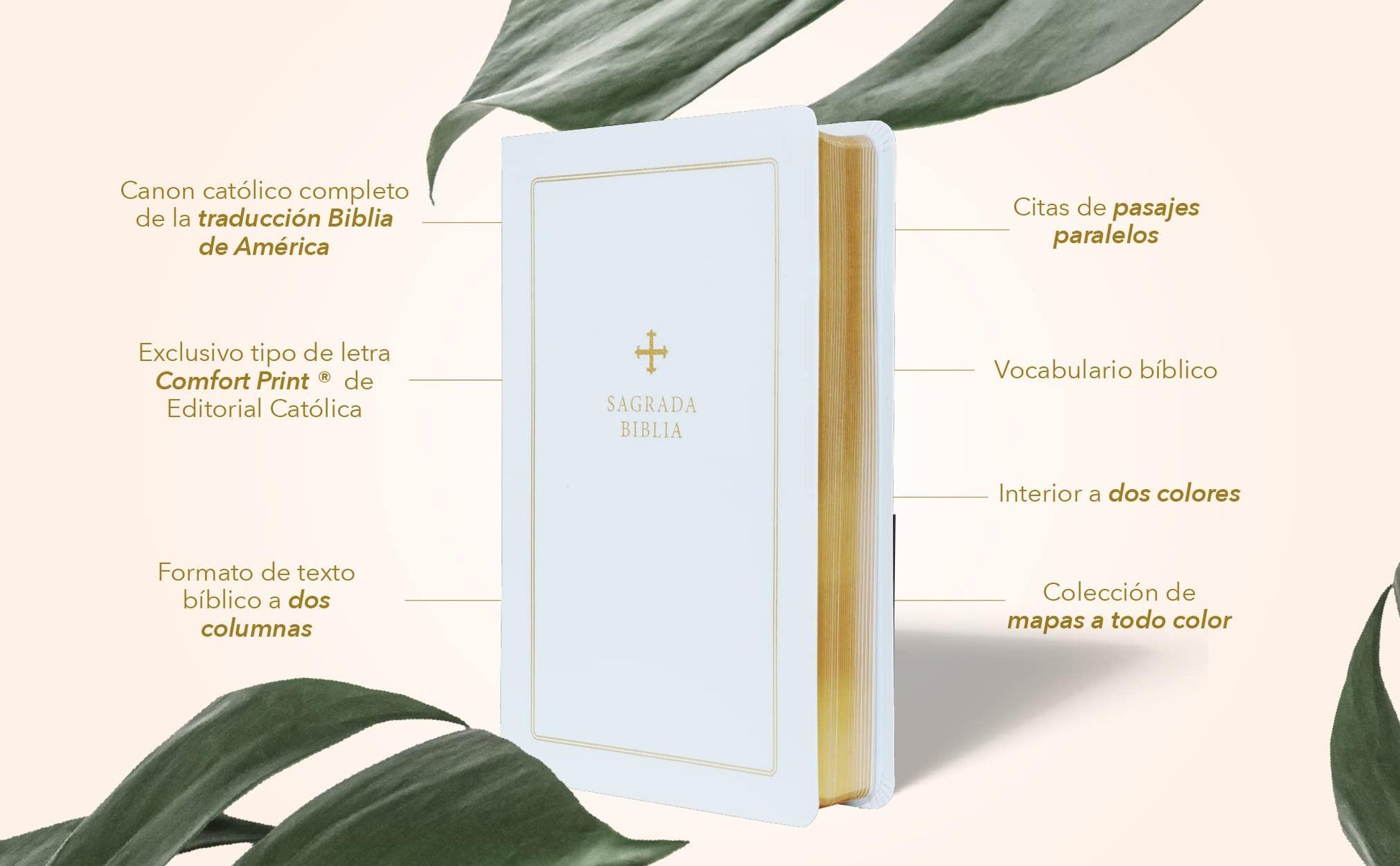 Biblia Católica, Regalos y Ceremonias, color Blanca, Cuero Reciclado - Pura Vida Books