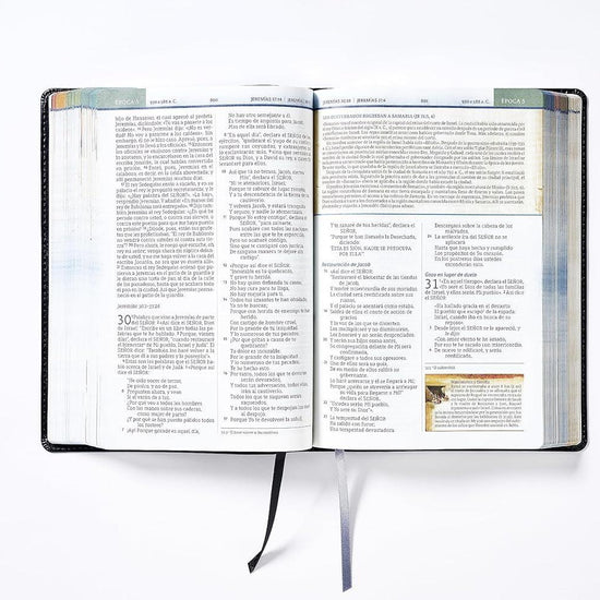 Biblia Cronológica de Estudio NBLA - Pura Vida Books