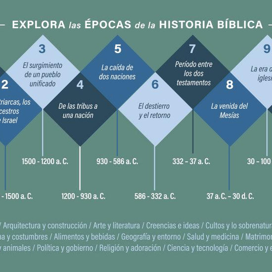 Biblia Cronológica de Estudio NBLA - Pura Vida Books