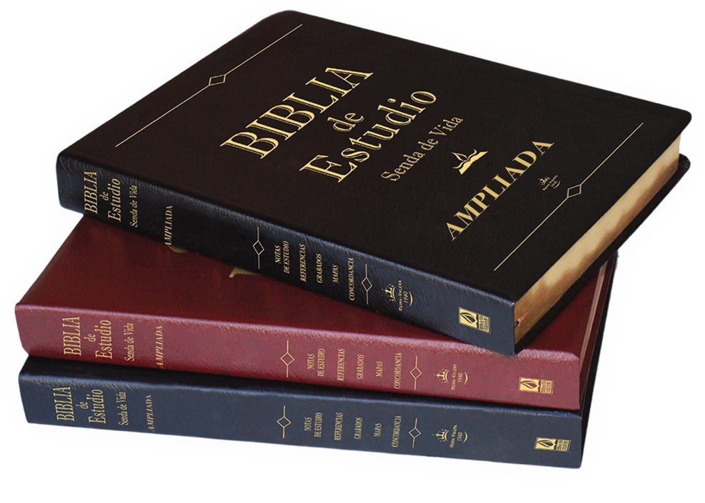 Biblia de Estudio Ampliada Marron - Pura Vida Books