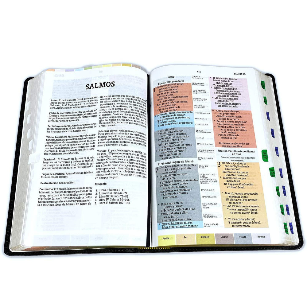 Biblia de Estudio Arco Iris Piel Fabricada Negra con Index Bonded Leather - Pura Vida Books