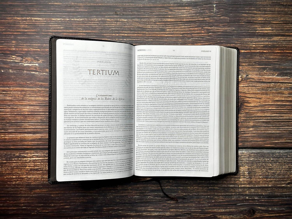 Biblia de Estudio Patrística - índice - Pura Vida Books