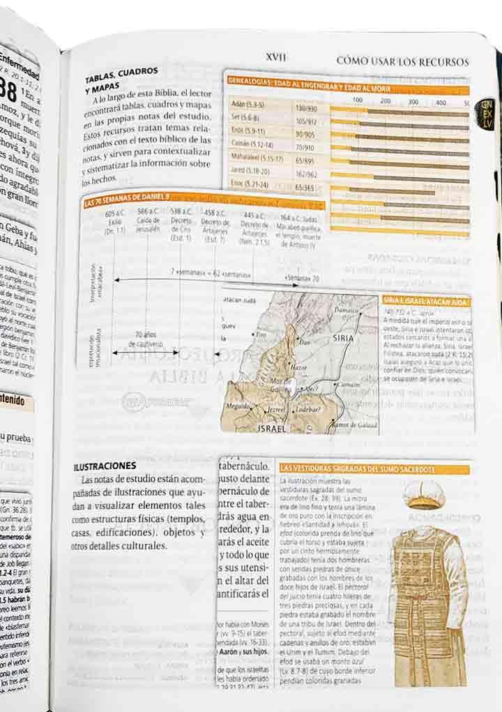 Biblia de Estudio RVR1960 Teologico Personal Tapa Piel con Índice - Pura Vida Books