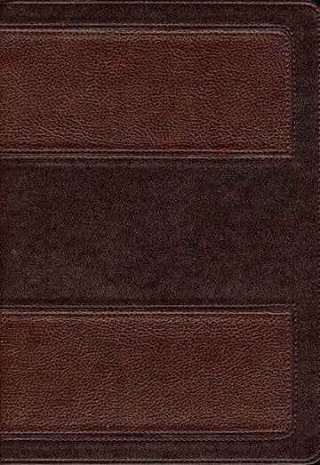 Biblia de Estudio Vida Plena RVR60 Dos Tonos Marron - Pura Vida Books