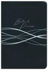 Biblia de Promesas Letra Grande RVR1960 - negro con índice - Pura Vida Books