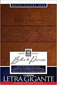 Biblia de Promesas Reina-Valera 1960 / Letra Gigante - 13 puntos / Piel especial / Café - Pura Vida Books