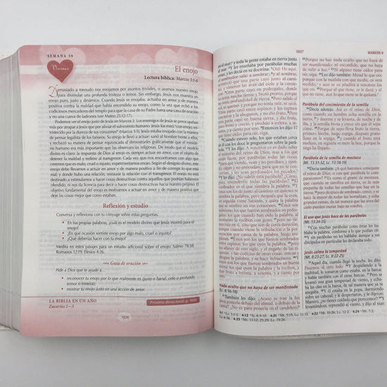 Biblia devocional los lenguajes del amor cafe - Pura Vida Books