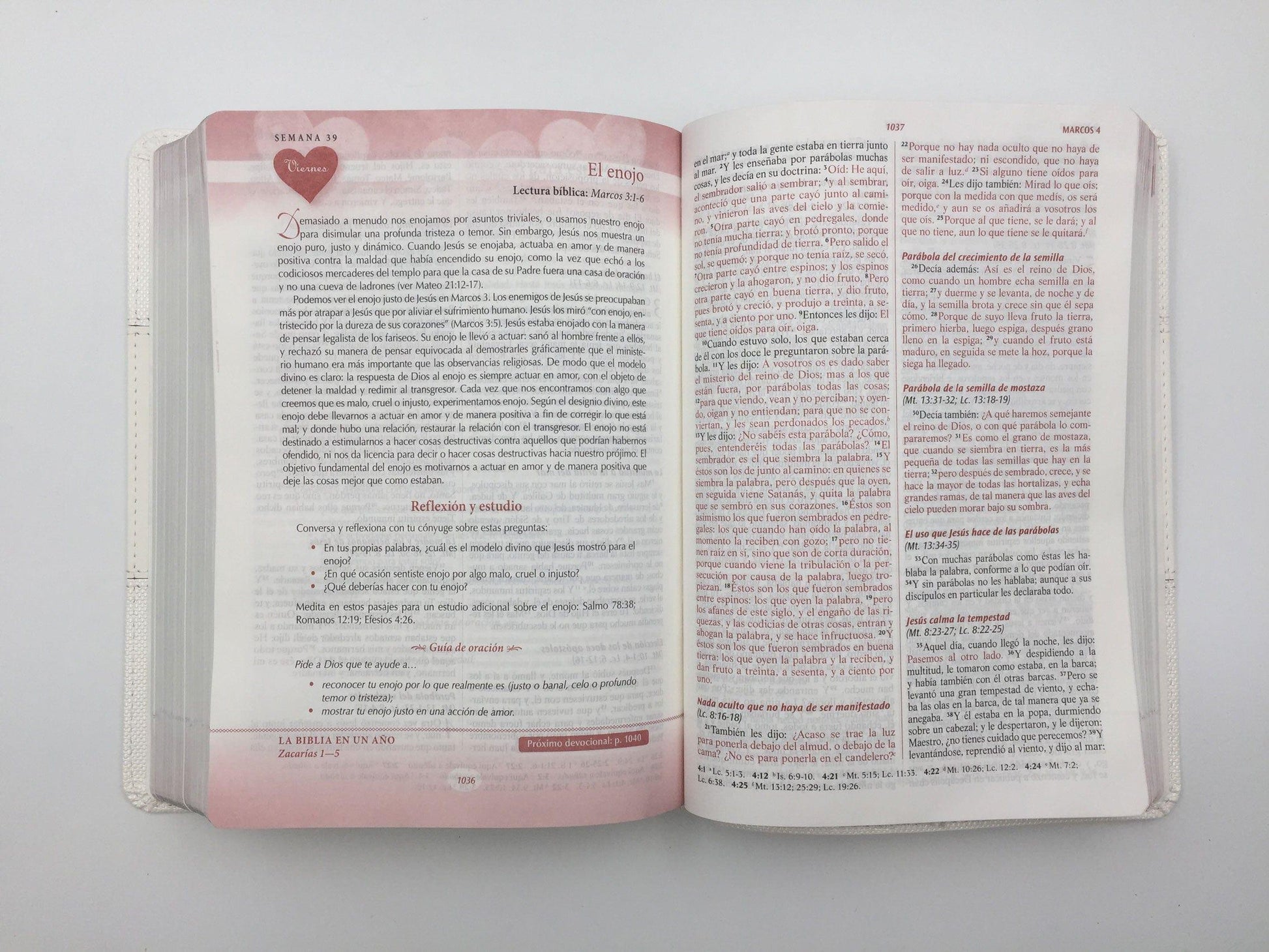 Biblia devocional los lenguajes del amor cafe - Pura Vida Books