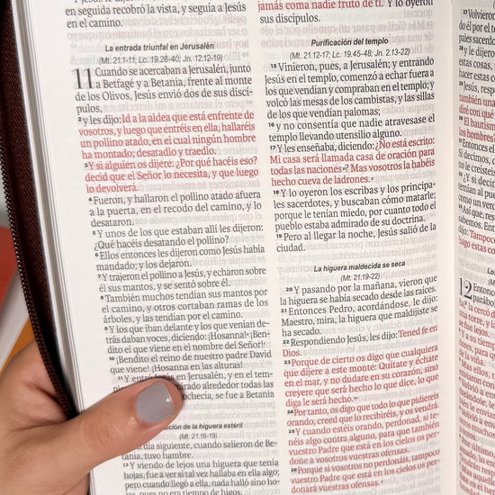 Biblia Ideal RVR1960 abierta en San Marcos sostenida con la mano