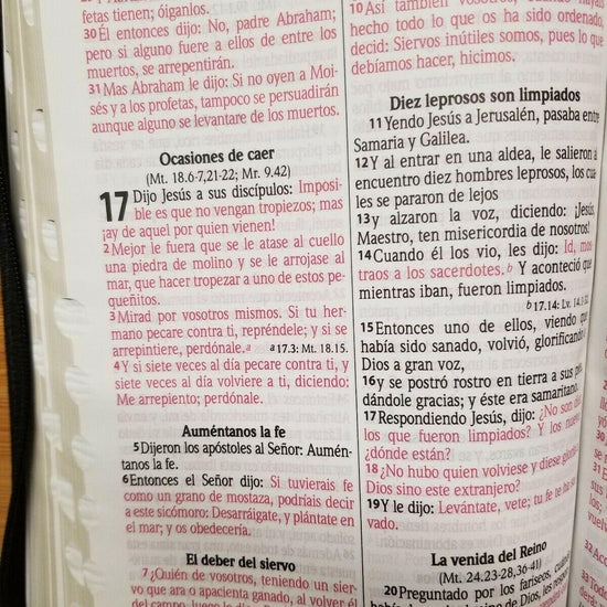 BIBLIA LETRA GRANDE RVR1960 14 PUNTOS IMIPIEL SUAVE NEGRO CON ÍNDICE Y CIERRE - Pura Vida Books