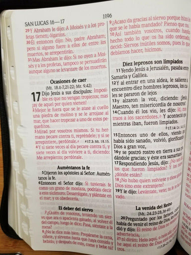 BIBLIA LETRA GRANDE RVR1960 14 PUNTOS IMIPIEL SUAVE NEGRO CON ÍNDICE Y CIERRE - Pura Vida Books