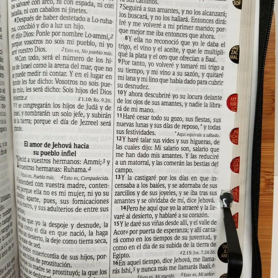 BIBLIA LETRA GRANDE RVR1960 14 PUNTOS IMIPIEL SUAVE NEGRO CON ÍNDICE Y CIERRE - Pura Vida Books