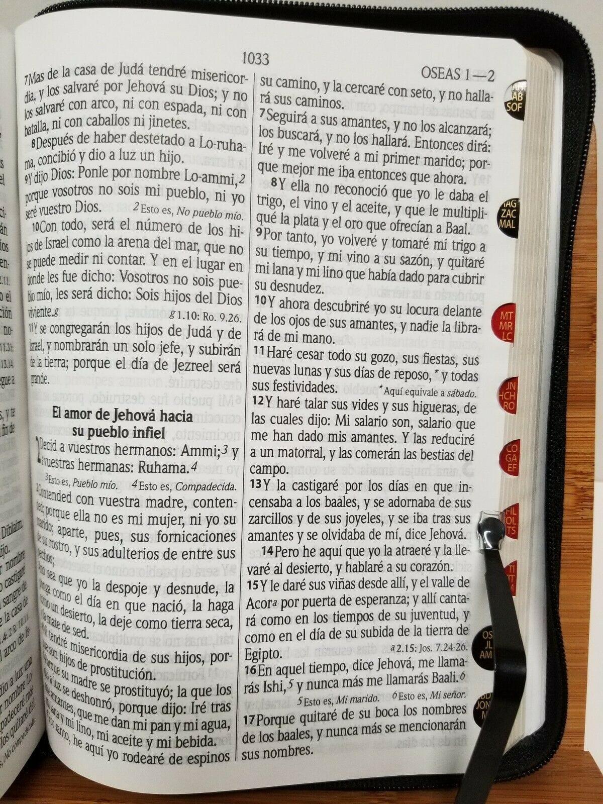 BIBLIA LETRA GRANDE RVR1960 14 PUNTOS IMIPIEL SUAVE NEGRO CON ÍNDICE Y CIERRE - Pura Vida Books