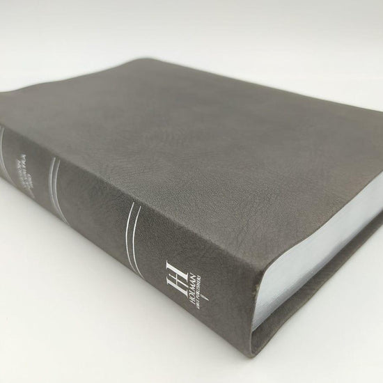 Biblia Letra Grande Tamaño Manual, Gris RV60 - Pura Vida Books