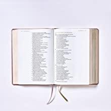 Biblia NBLA Ama a Dios Grandemente - Pura Vida Books