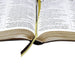 Bíblia NTLH Letra Extra Gigante c/ Índice - Luxo Marrom - Pura Vida Books