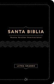 Biblia NVI letra grande - Pura Vida Books