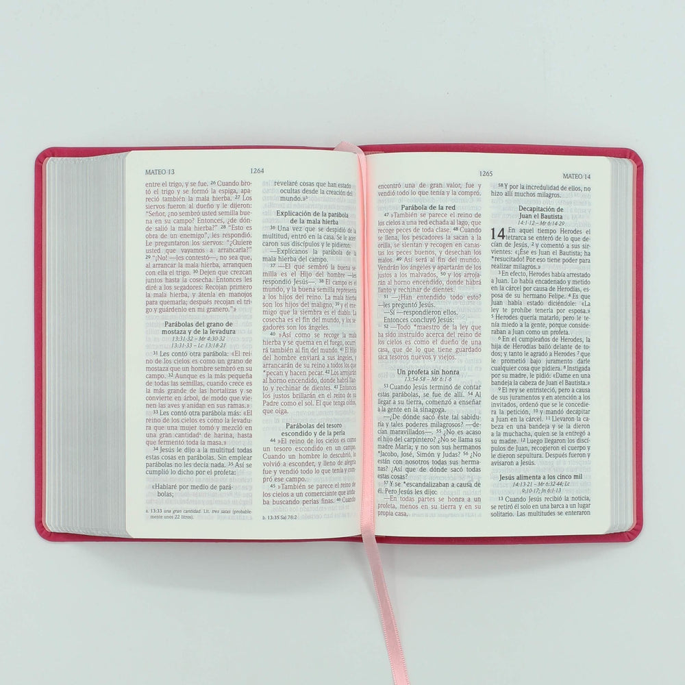 Biblia NVI letra grande - Tamaño mediano - Fucsia - Pura Vida Books