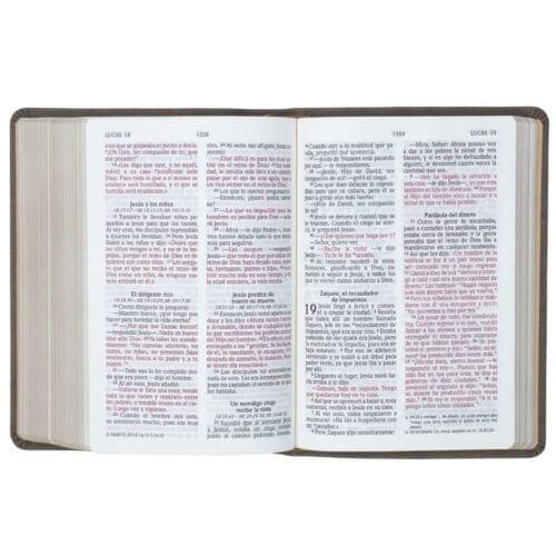 Biblia NVI letra grande - Tamaño mediano - Marron - Pura Vida Books