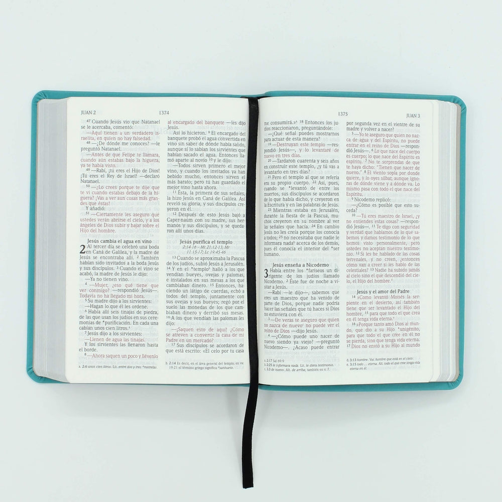 Biblia NVI letra grande - Tamaño mediano - Turquesa - Pura Vida Books