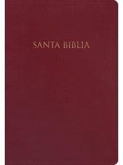 Biblia Para Regalos Y Premios NVI - Pura Vida Books