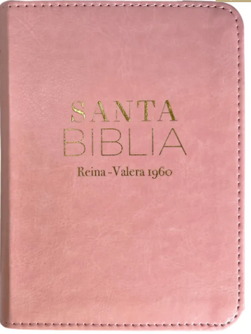 Biblia Reina Valera 1960