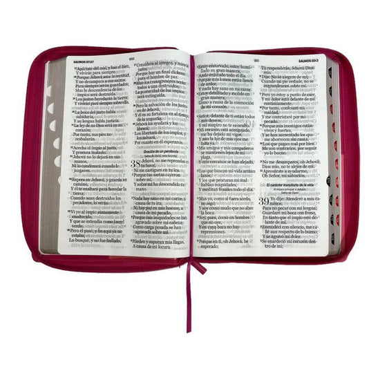 Biblia RVR 1960 Letra Súper Gigante Símil Piel Duotone Rosa con Índice con Cierre - Pura Vida Books