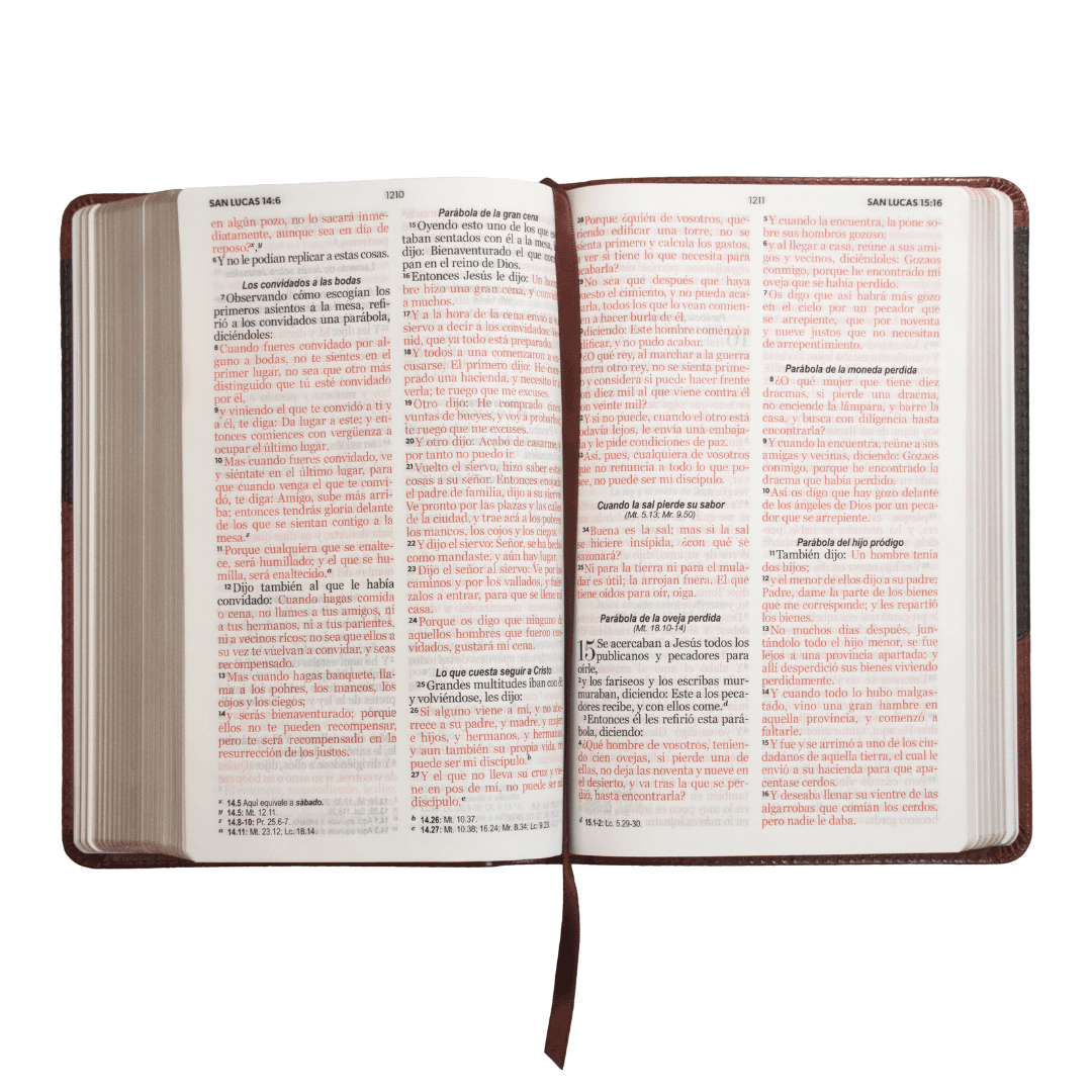 Biblia RV60 letra grande-imitación piel bi-tono/marrón - Pura Vida Books