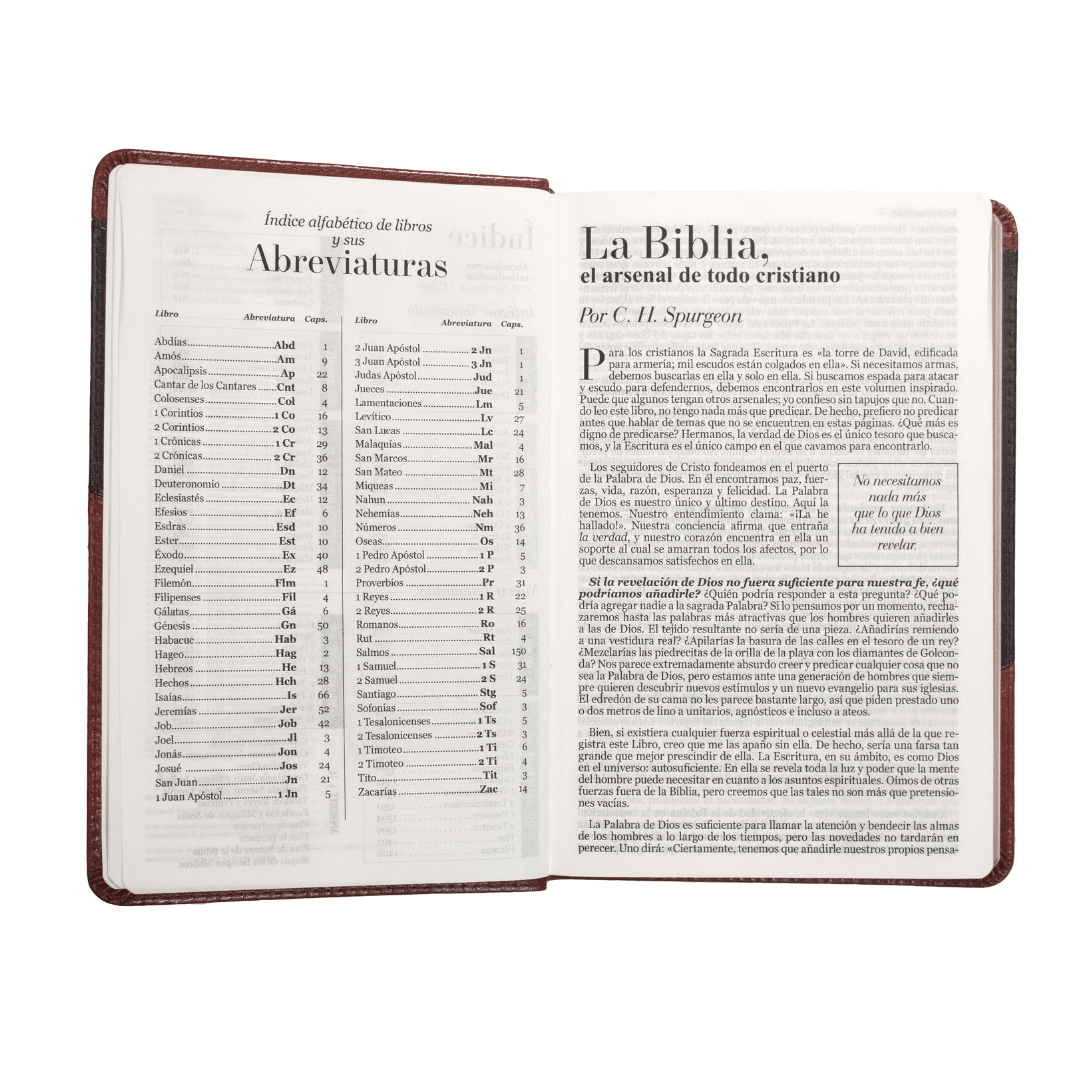 Biblia RV60 letra grande-imitación piel bi-tono/marrón - Pura Vida Books