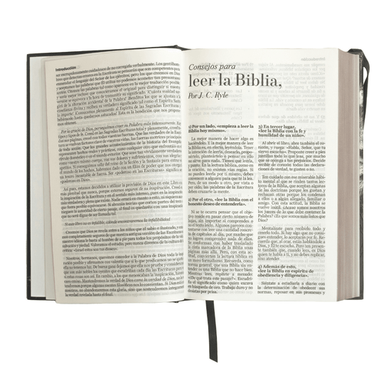 Biblia RV60 letra grande-tapa dura negra león - Pura Vida Books