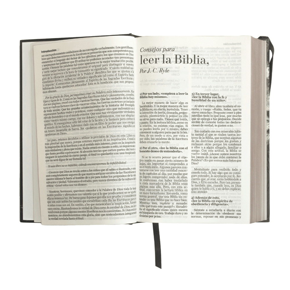 Biblia RV60 letra grande-tapa dura negra león - Pura Vida Books