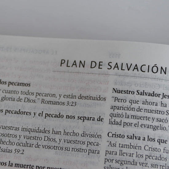 Biblia RVR 1960 letra grande Tapa dura y tela azul púrpura con flores tamaño manual - Pura Vida Books