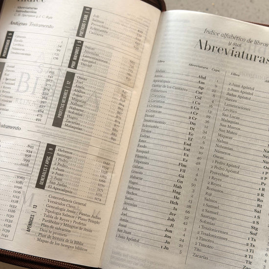 Biblia RVR1960 café abierta en el índice y la tabla de abreviaturas