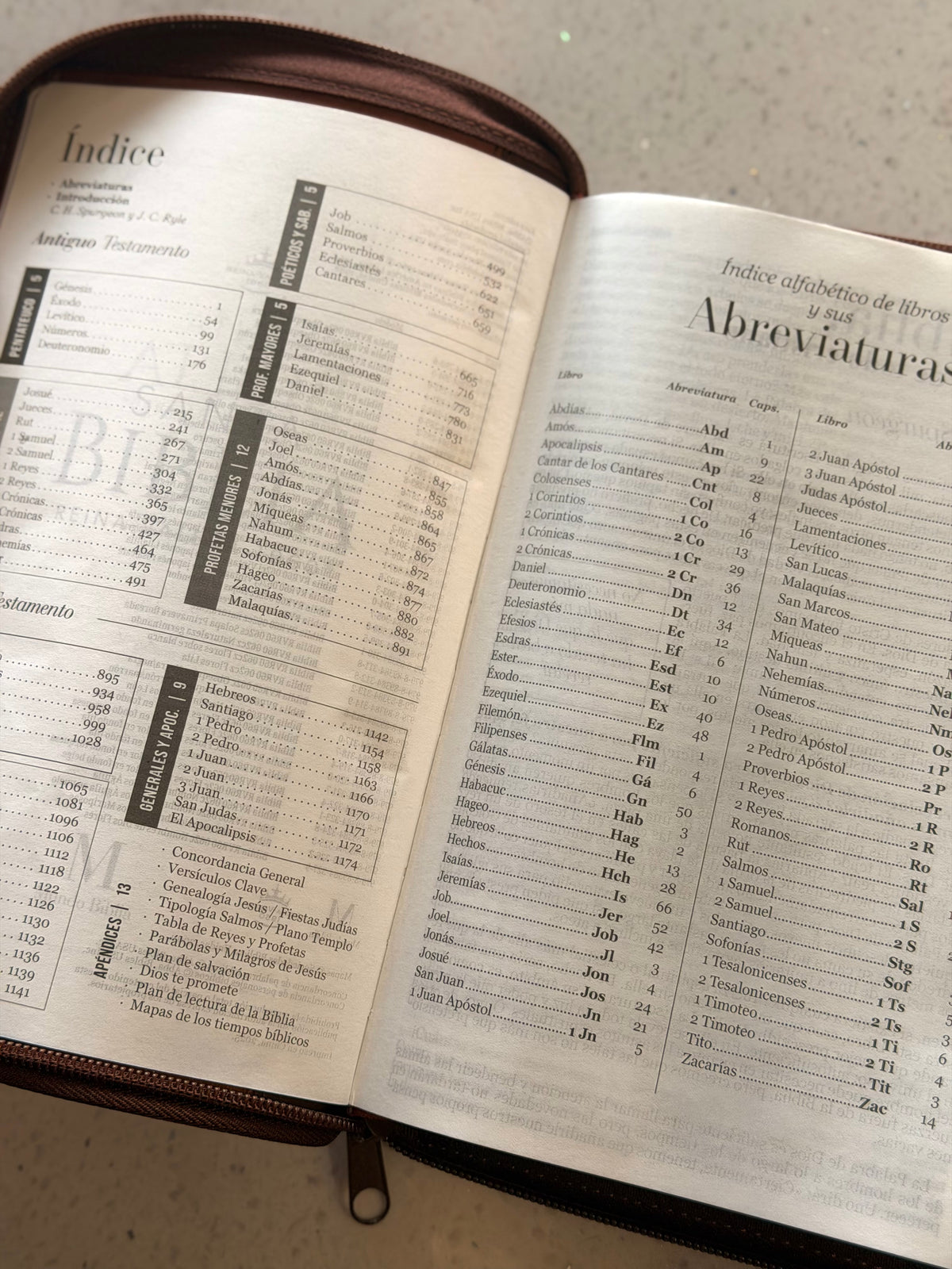 Biblia RVR1960 café abierta en el índice y la tabla de abreviaturas