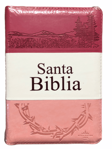 Biblia RVR60 - Concordancia Amplia, Letra Grande, palabras de Jesus en Rojo, ziper, indice, tapa en imitacion cuero triotone rosado y canto plateado - Pura Vida Books