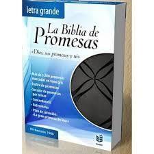 BIBLIA RVR60 PROMESAS PIEL ESPECIAL NEGRO LETRA GRANDE - Pura Vida Books