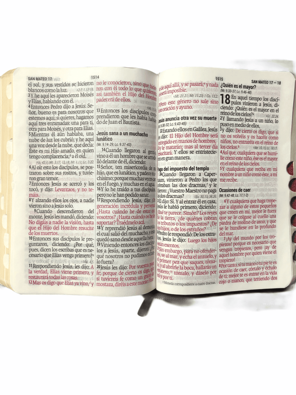 Biblia Tamaño Compacto RVR 1960, Imitación Piel Negro Con Índice y Zíper - Pura Vida Books