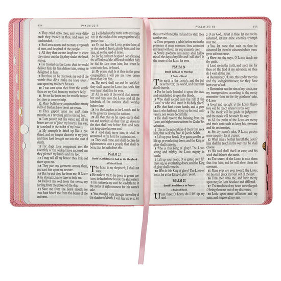 BIblia KJV - Pura Vida Books