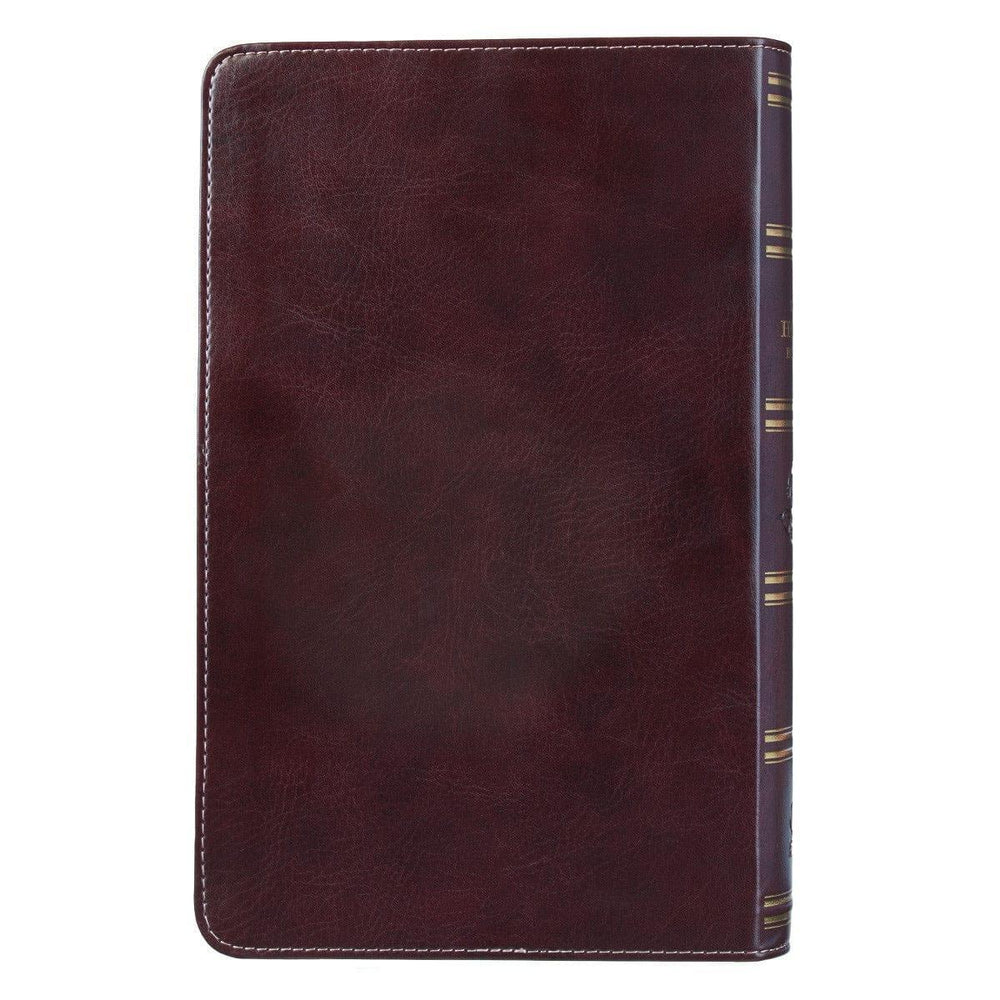 Brown and Pink Half-bound Faux Leather Giant Print King James Version Bible - Pura Vida Books