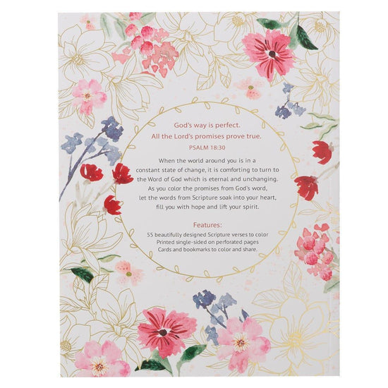 Color the Promises of God Coloring Book - Pura Vida Books