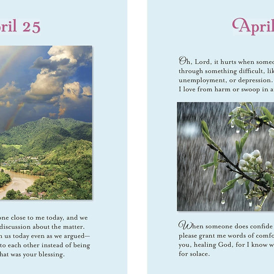 Daily Gratitude (Deluxe Daily Prayer Books) - Pura Vida Books