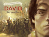 David, rey para Dios - Pablo Owen - Pura Vida Books