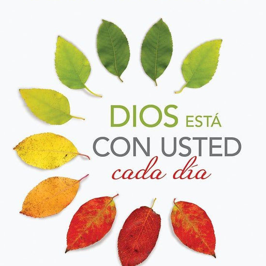 Dios Está Con Usted Cada Día - Max Lucado - Pura Vida Books