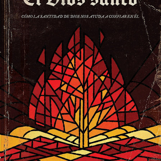 El Dios Santo-Jackie Hill Perry - Pura Vida Books