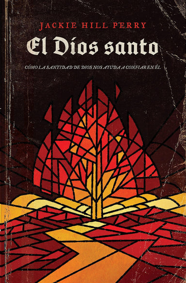 El Dios Santo-Jackie Hill Perry - Pura Vida Books