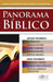 Folleto: Panorama Bíblico - Pura Vida Books